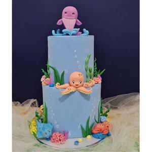 ماکت کیک دریایی