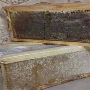 عسل موم دار شان چالدران..