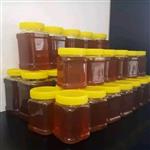 عسل تغذیه شهد چالدران (سیه چشمه )