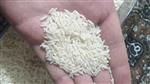 برنج طارم هاشمی 10 کیلویی (تضمین اصالت و کیفیت)