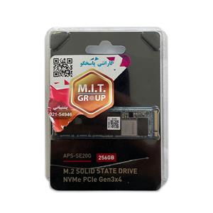 حافظه PIONEER M.2 256GB SSD – کارکرده