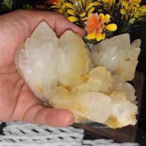 گردنبند عقیق شجر طبیعی