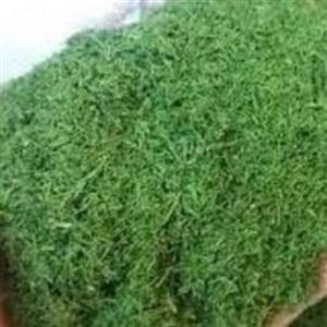 شوید خشک سبز و درجه یک بسته 100گرمی