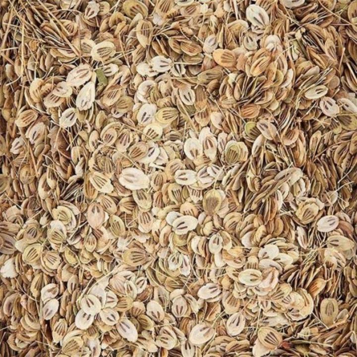 برگ گلپر فله ای