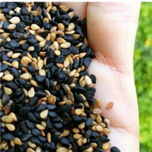 کنجد مشکی ایرانی 200 گرمی