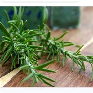 عرق مرزه یک لیتری  (تقویت قوای بدن،. دل پیچه، دفع انگل)