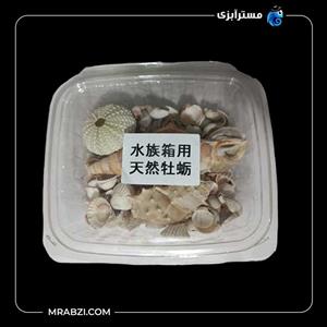 صدف و حلزون زیبای مشکی(مشکی، سفید) با رنگ طبیعی  مناسب کارهای هنری