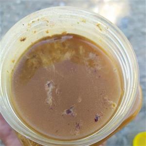 عسل طبیعی سدر کنار  لاله زار کرمان ( یک کیلویی)غنچه مادر