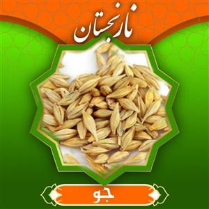 جو ممتاز (800 گرم) نارنجستان