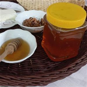 عسل 100 درصد طبیعی کردستان  یک کیلویی برداشت امسال