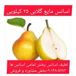 اسانس مایع گلابی 25 کیلویی طعم دهنده قوی