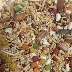 پلت ویژه آلمانی 15تخم اصلی 250گرمی تمام پرندگان زینتی  نتیجه 100درصدی