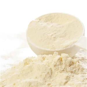 پودر سفیده تخم مرغ کیفیت عالی