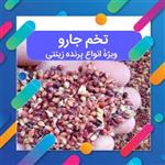 تخم جارو مخصوص انواع پرنده 90 گرمی بذر جارو