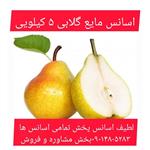 اسانس مایع گلابی 5 کیلویی طعم دهنده قوی