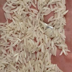 برنج فجر 50 کیلویی) بوجار و سورت شده خوش پخت صداقت 