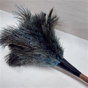گرد گیر پر رنگی شتر مرغ کندو دکور