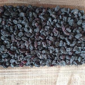 کشمش یک کیلویی مویز تازه امسالی خوش رنگ وخوش مزه تمیز وبدون ضایعات