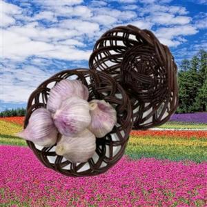 سبدمیوه  حصیری ارغوان تیناسادات شاپ تضمین کیفی قیمت بی رقیب Fوعمده