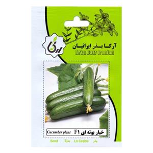 بذر خیار بوته ای زر بذر ایرانیان