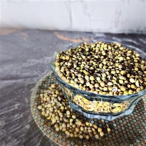 تخم گشنیز بسته 100 گرمی