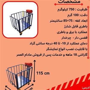 باسکول 750 کیلو گرم چرخ دار نیکو (دامکش)