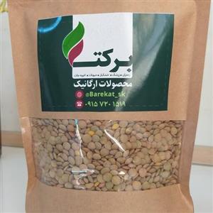 عدس درشت پاک شده - یک کیلو - حبوبات عمده و جزئی