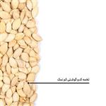 تخمه کدو گوشتی کم نمک درجه یک ویژه مش کمیل-1KG