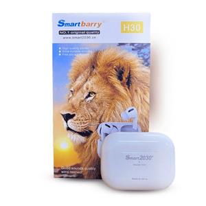 ایرپاد پرو smart berry h30 اصلی