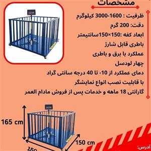 باسکول دامکش کفی قفس دار ظرفیت 1600 تا 3000کیلوگرم