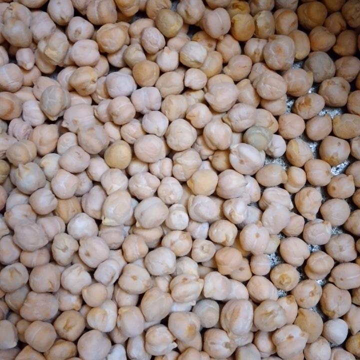 نخود فله ای