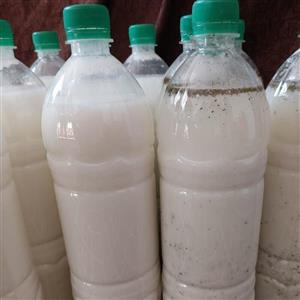 دوغ گاومیش تازه وارگانیک و کاملا طبیعی و اعلا بدون ذره ایی افزودنی