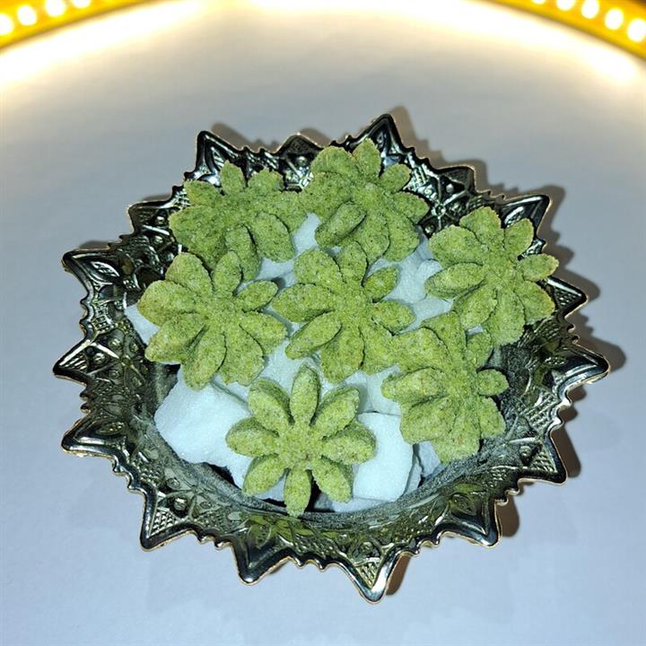 نبات نعنایی گلتا