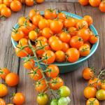 بذر گوجه فرنگی چری نارنجی خوشه ای بسته 20 عددی