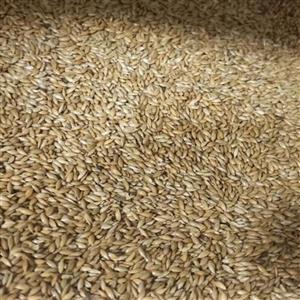تخم کتان مخصوص پرنده 30 کیلو گرمی
