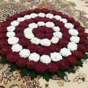 پادری گل رز