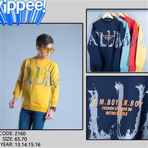 بلوز تک پسرانه چاپی جذاب و شیک