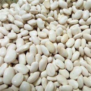 لوبیا سفید بومی