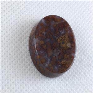 نگین شجر پاییزی زیبا