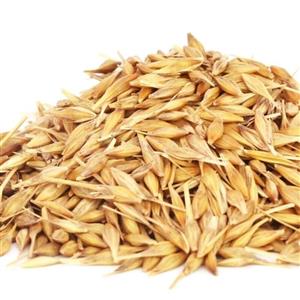 جو دوسر بدون گلوتن (400گرمی )عطاربانو