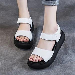 صندل طبی ونوس