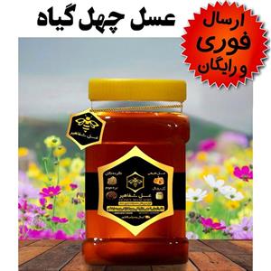 عسل چهل گیاه شفاهیر(1 کیلوگرم)()(مستقیم از زنبوردار)