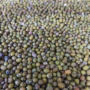 ماش درجه یک و به شرط(بسته 1کیلویی)