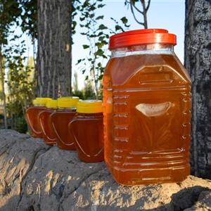 عسل گون گز (گز انگبین) اعلا و درجه یک کردستان (1 کیلوگرم)