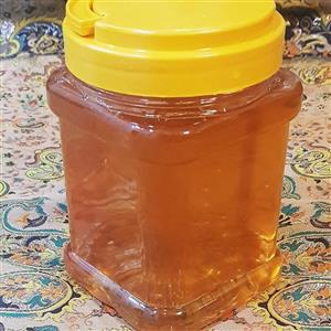 عسل شهد کوهی سهند (یک کیلو گرمی)(زنبور بهشتی) 