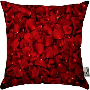کوسن مخمل رنس مدل S2-10803 سایز 33x33 سانتی متر