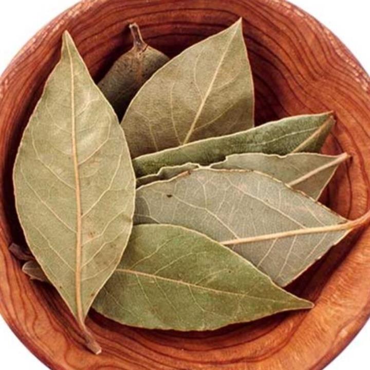 برگ بو فله ای