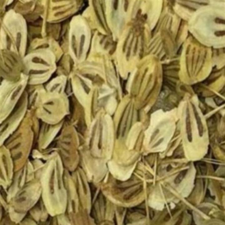 برگ گلپر فله ای