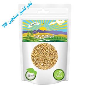 تخم گشنیز دستچین کالا - 500 گرم
