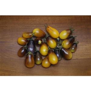 بذر گوجه گلابی زنبور عسل 10 عددی